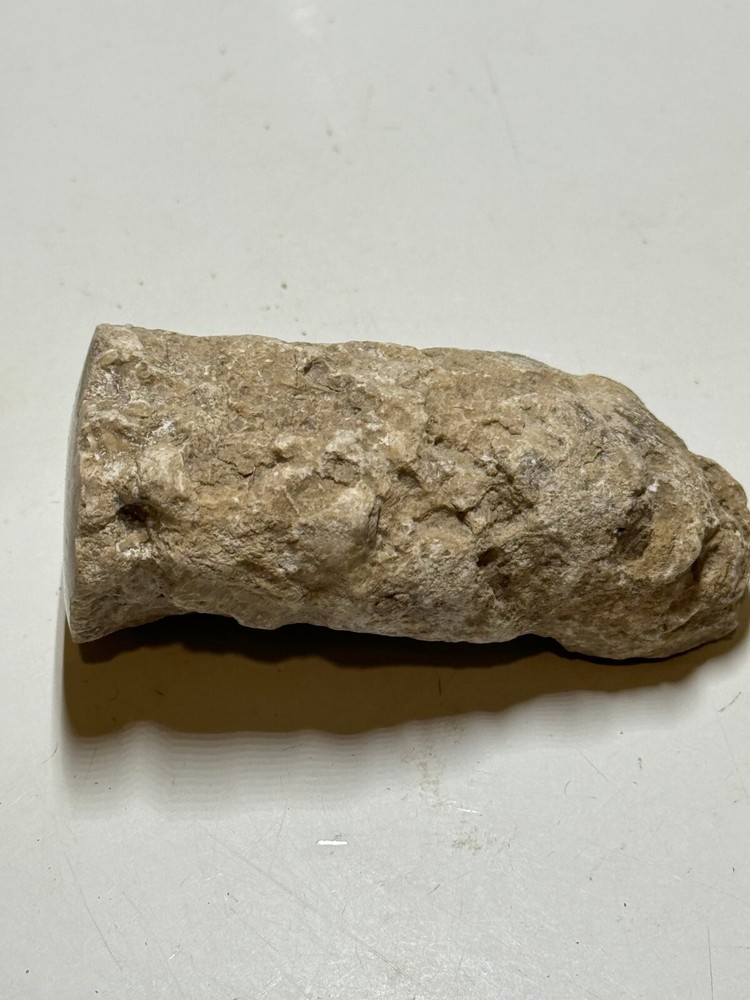 POLISHED CORAL SPECIMEN