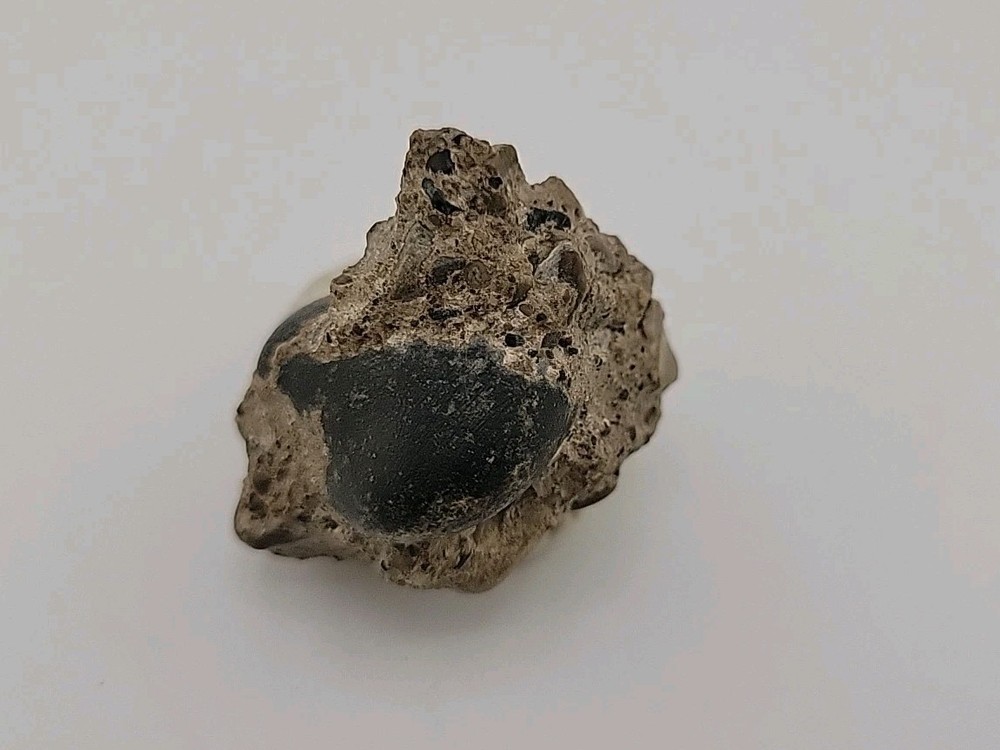 Real Permineralized Reptile Egg Fossil