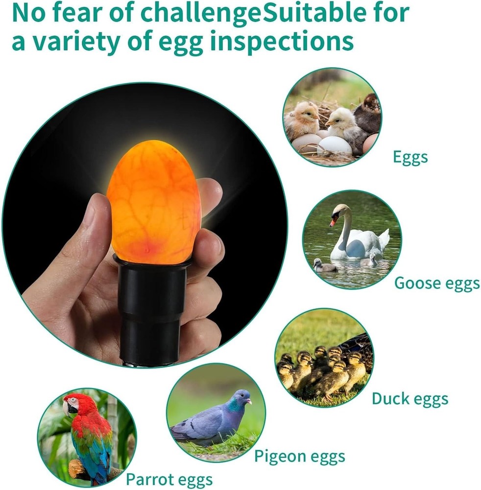 Shock-Proof Lightweight Egg Candler - Perfect for Observing Embryo Development