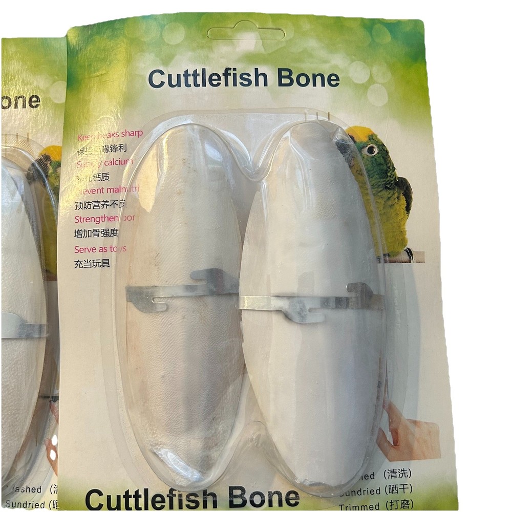 Cuttlefish Bone Bird Cuttlefish Bone