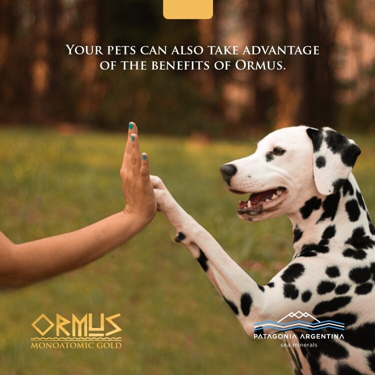 2 MONOATOMIC GOLD ORMUS 17oz-MEMORY AID,ENERGETICALLY ENHANCED, REJUVENATING