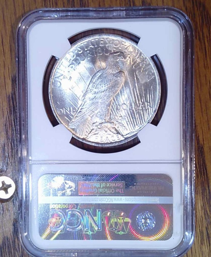 1923 BU Silver Peace Dollar NGC MS64 (036)