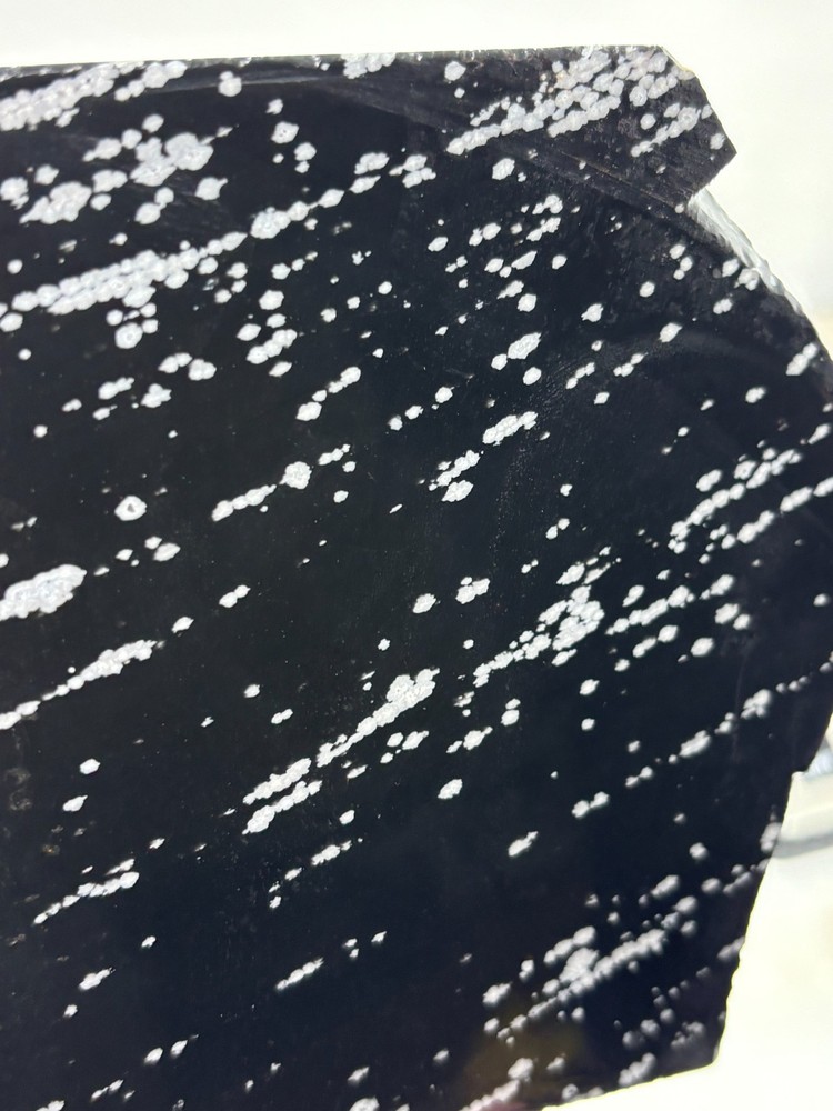 Large Snowflake Obsidian Slab Lapidary Cabbing Knapping Combo ship avail