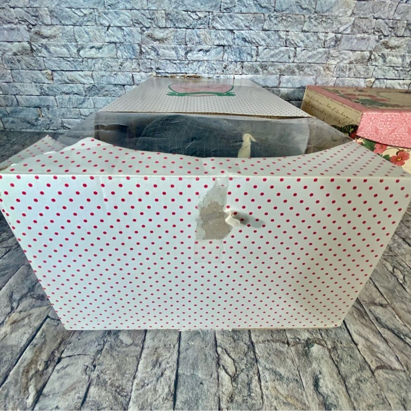 Paradise Galleries VTG Porcelain Doll Native American New In Box Joyful Dove