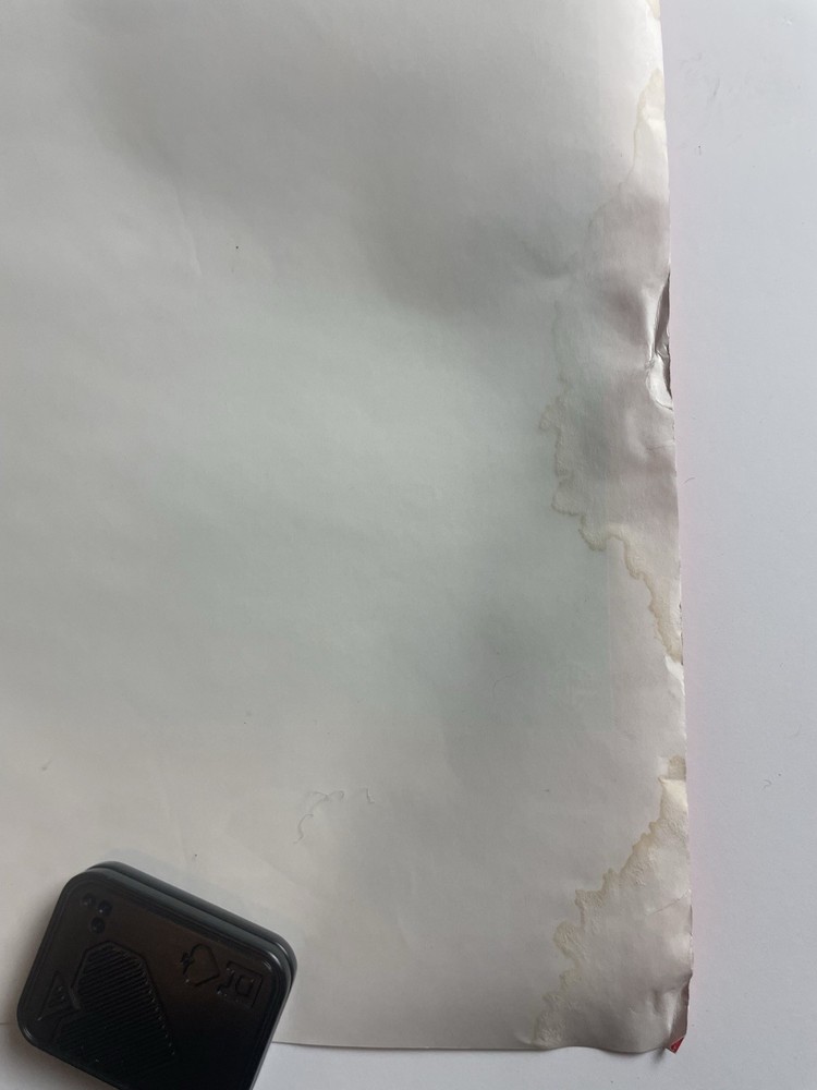 Laurie Anderson Promo Poster Big Science 1982 22X14