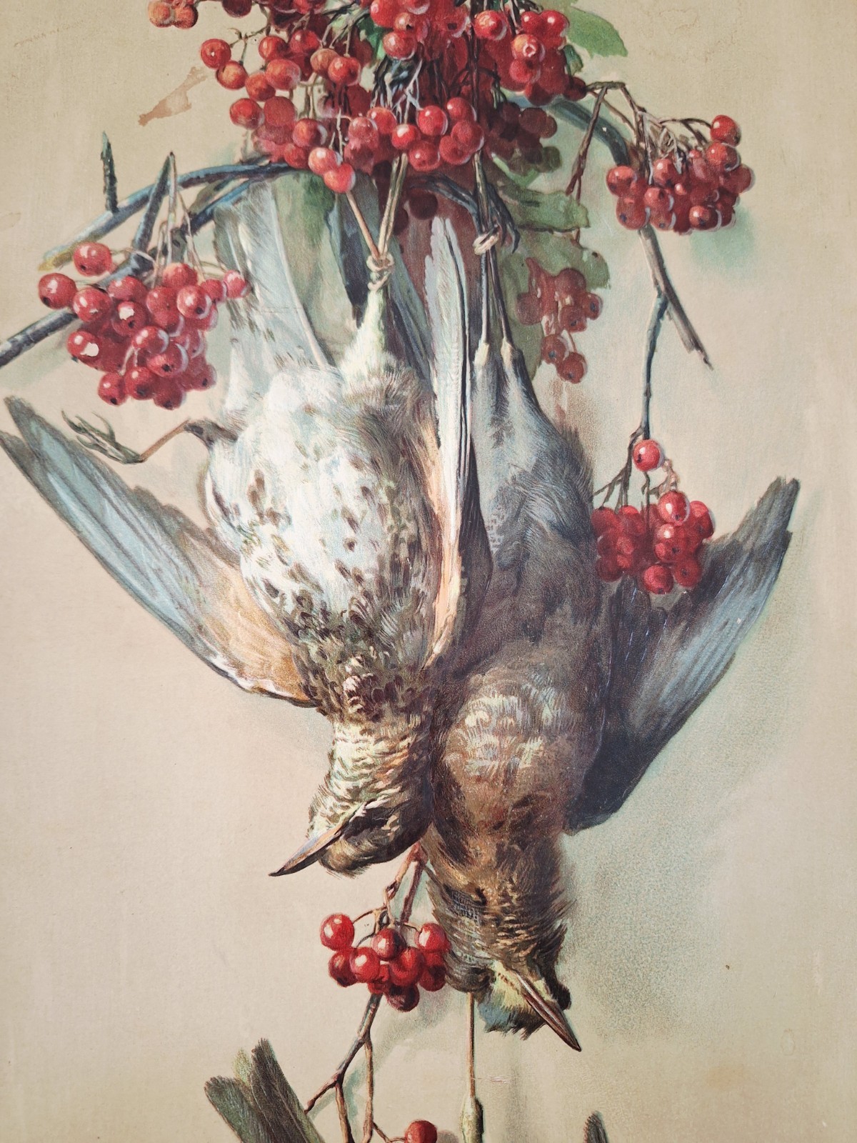 Game Birds Victorian Quail Cranberries Antique Embossed Chromolithograph