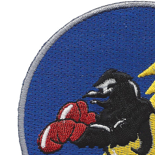 104th Fighter Squadron A-10 Patch
