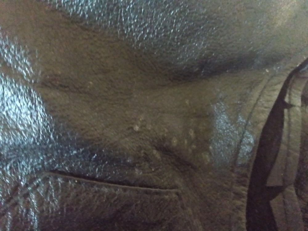 Unbranded Genuine Leather Riding Chaps