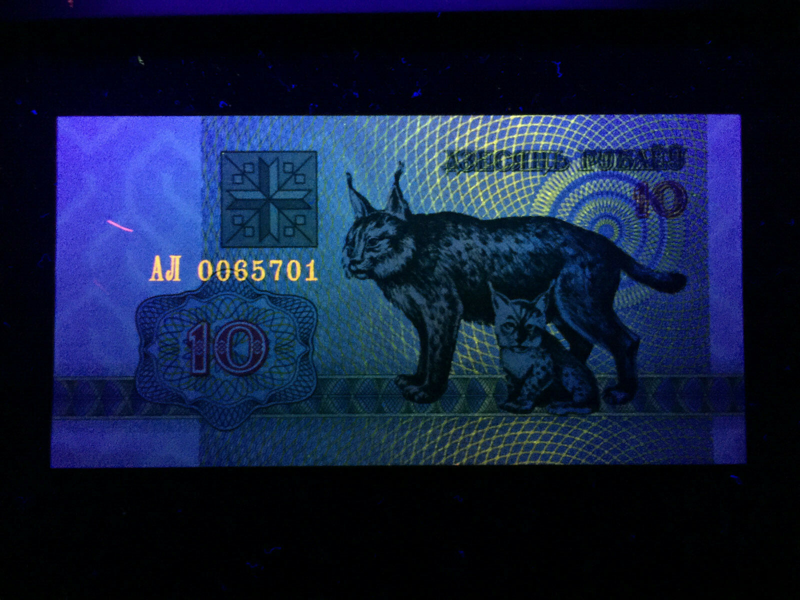 Belarus Set of 100,50,25,10 Rublei & 50 kap 1992 Banknote World Paper Money UNC