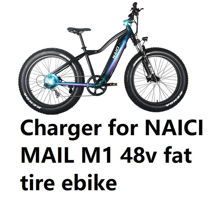 🔥 3a fast battery Charger for Naicisports mail m1 m2 m3 48v fat tire ebike🔥
