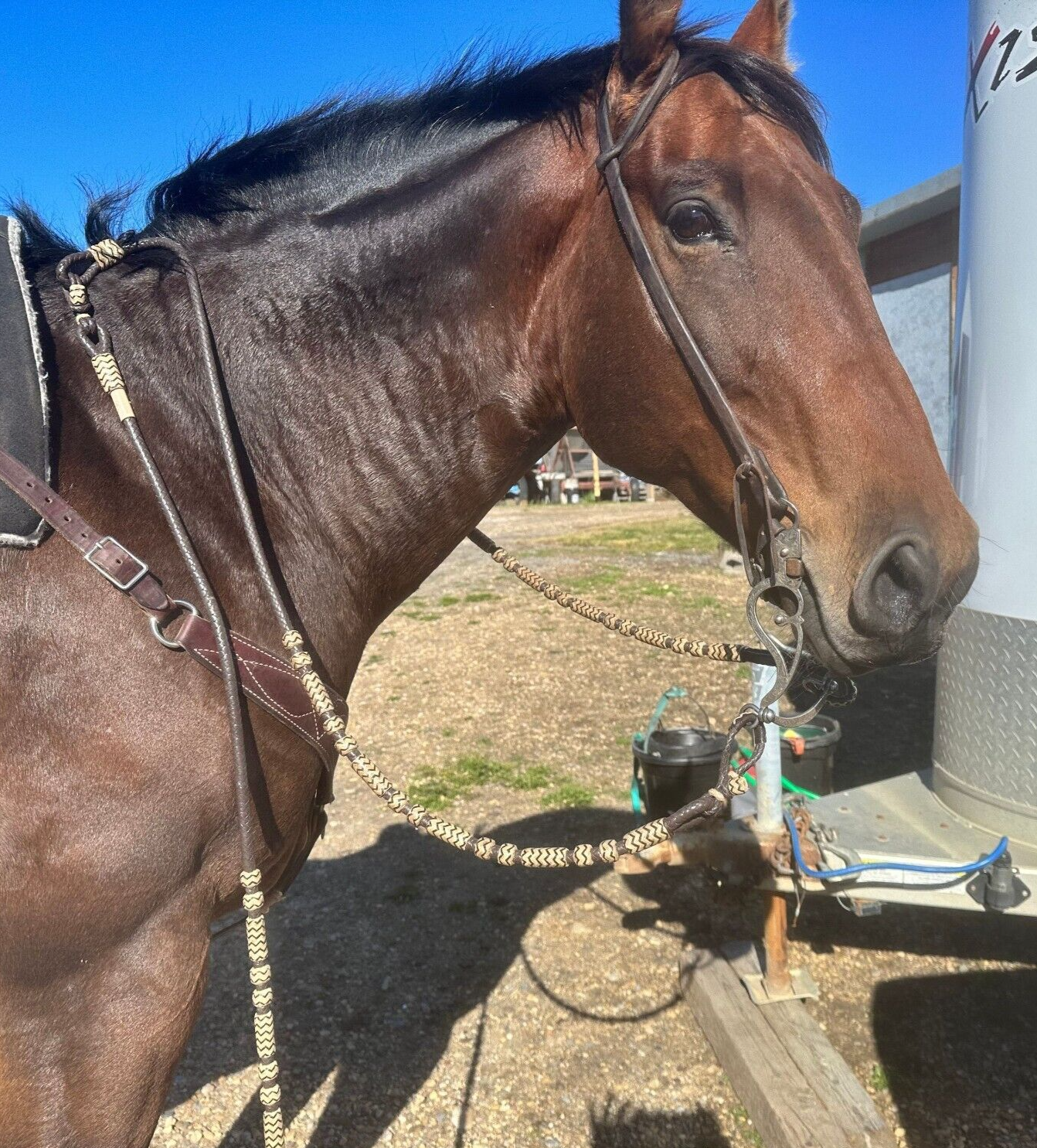 Romal Reins Dark Chocolate Brown, 10 Plaits Romel Reins, 45" Romel Reins.