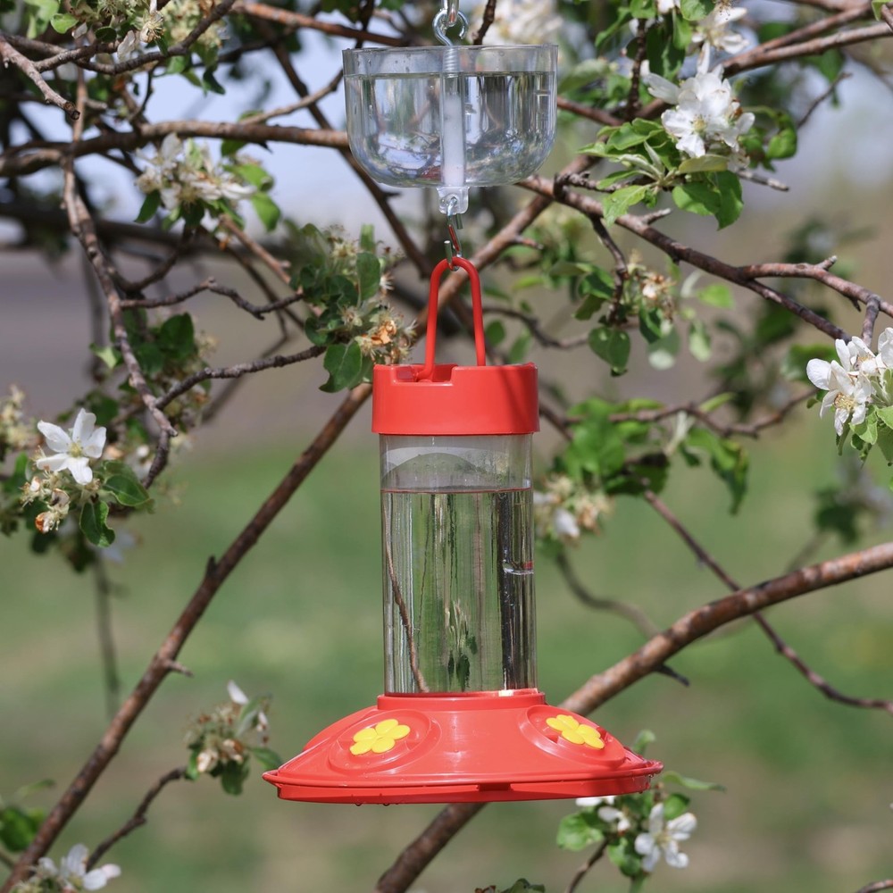 Songbird Essentials Nectar Protector Junior, Bird Feeder Protection, Clear