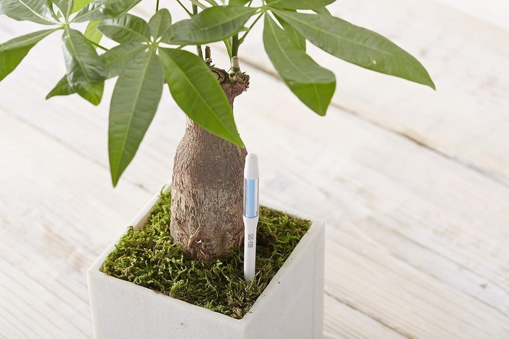 Sustee Aquameter White Medium - Refillable Soil Water Meter for Potted Plants