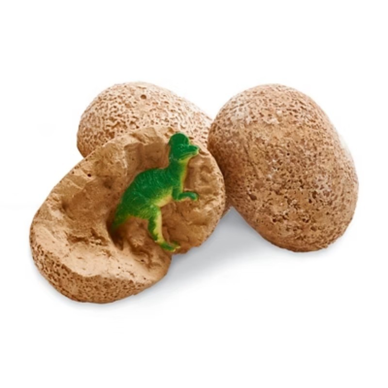 Dig It Up: Dinosaur Eggs