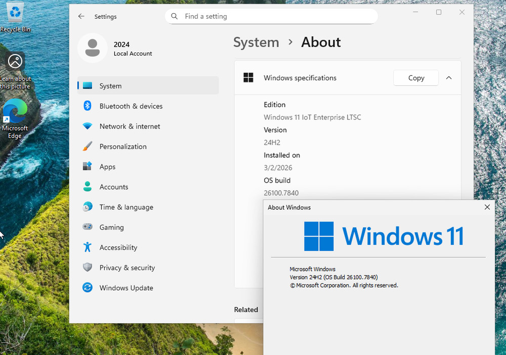 Windows 11 IoT✔ Long-Term Support 2034! ✔24H2✔10PACK
