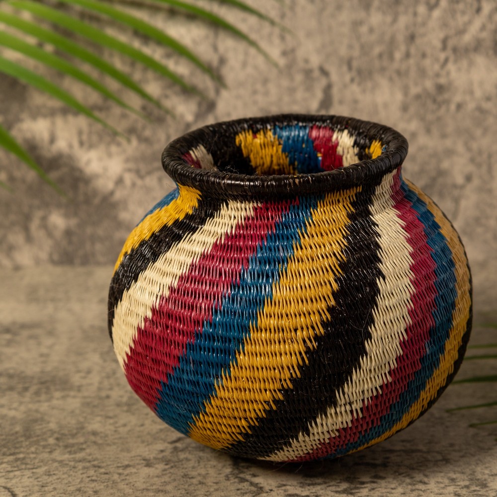 Rainbow Illusion Rainforest Basket