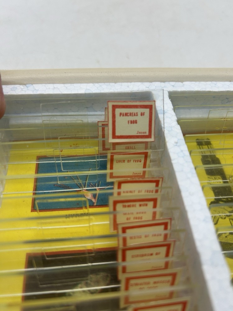 Milben 12 Microscope Slides Set No 810