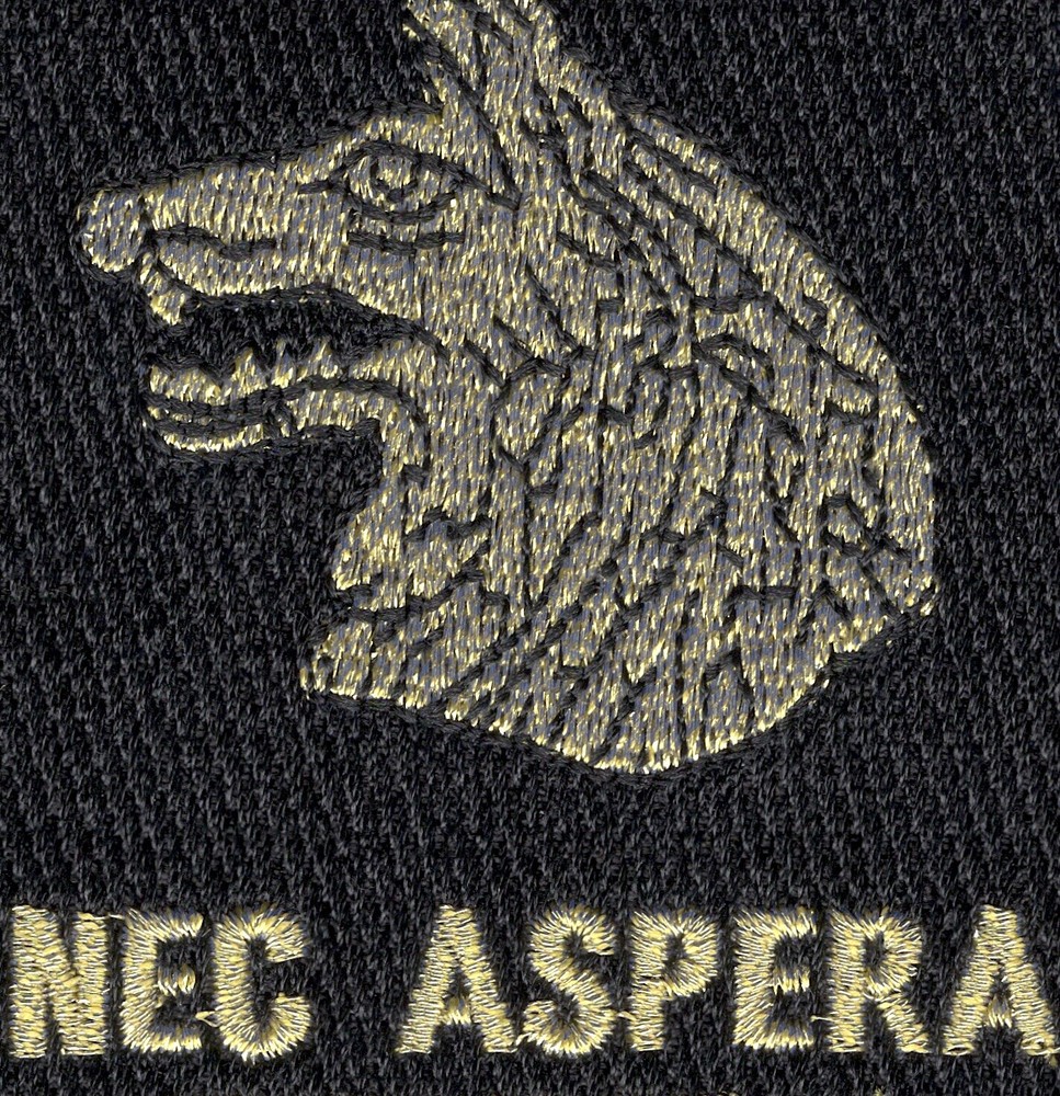 27th Infantry Regiment Nec Aspera Terrent Patch