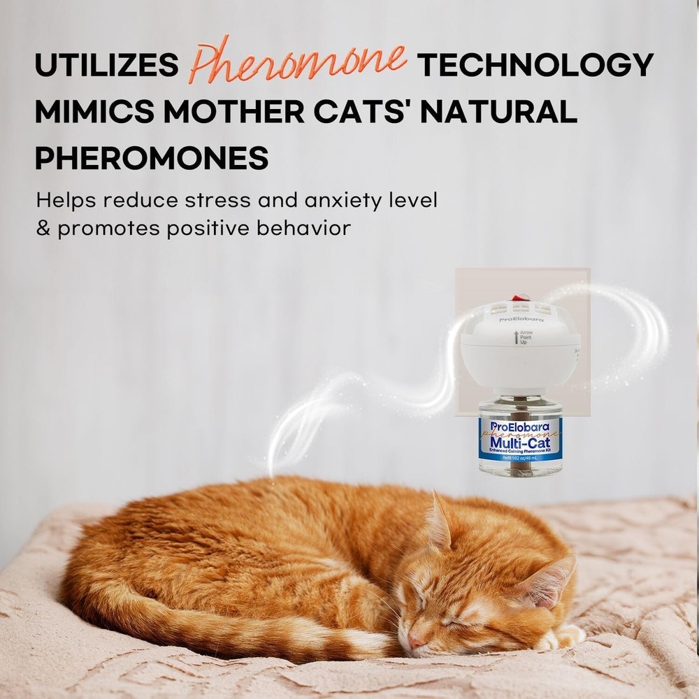 Cat Calming Pheromone Diffuser Kit Cat Calming Pheromones Diffusers for Multicat