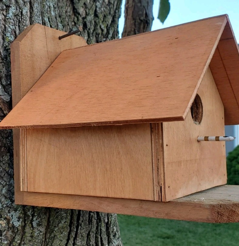 Custome Made Bird Houses
