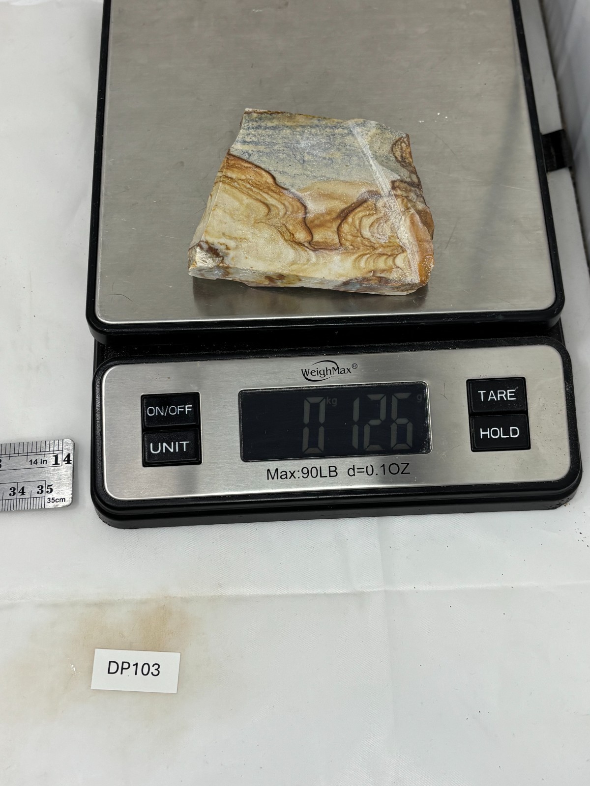 Disaster Peak Picture Jasper end slab Cabbing Lapidary Collecting Combo Ship Avl