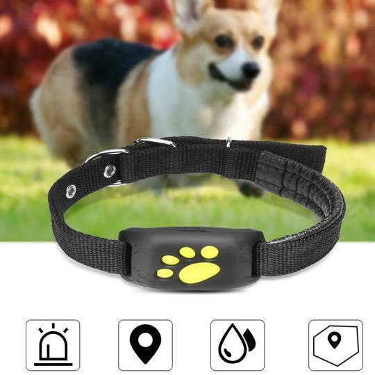 Dog & Cat GPS Pet Tracker