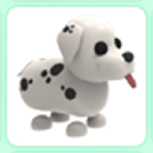 Dalmatian - Adopt right now