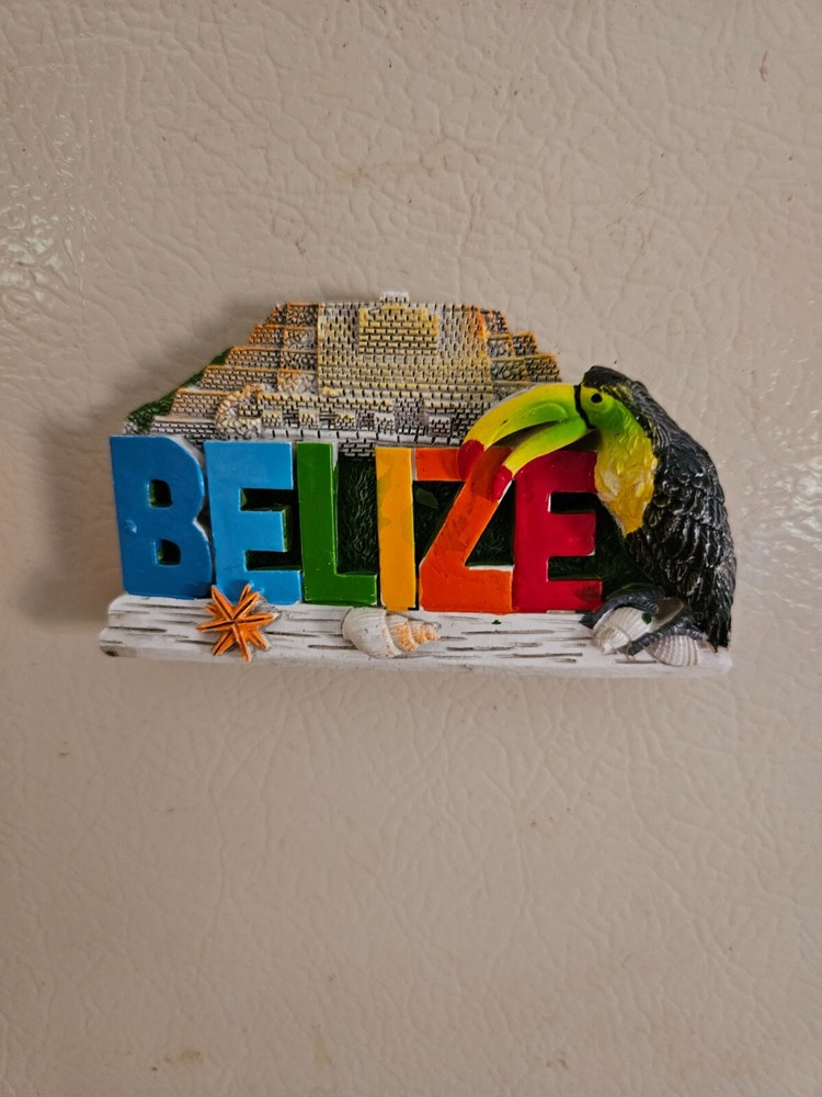 Maya Ruins Belize souvenir  fridge magnet