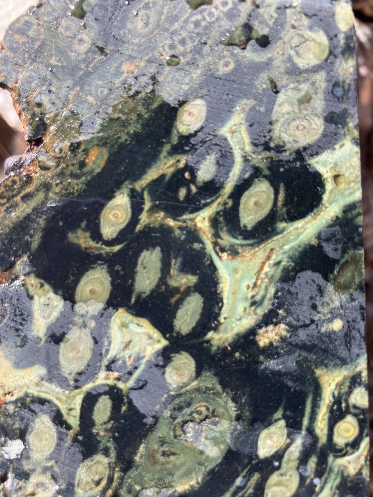Kambaba Jasper Slab
