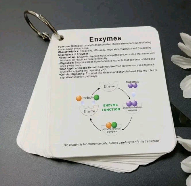 Cell Biology Pocket Sized Flashcards Study Guide Cellular Components Key Terms