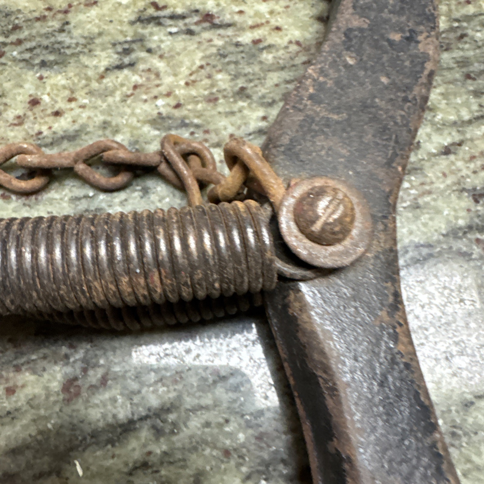 Antique iron Horseshoe Strongman Chest Exerciser EXCELLENT CONDITION