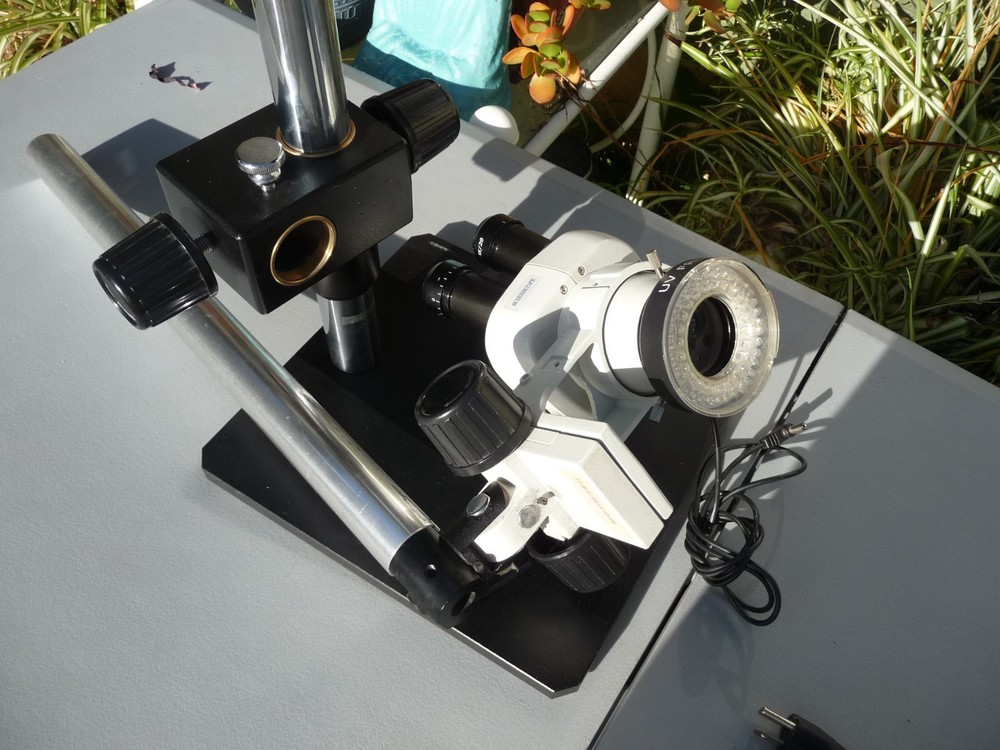 Sciencescope Lighted Strereo Zoom Binocular Microscope SB-AB-SZ