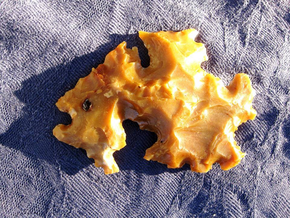 SERPENT STONE THE DEER