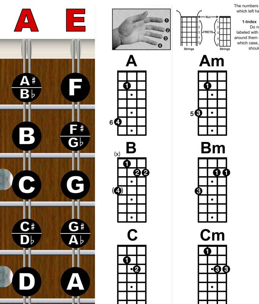 Mandolin Easy Chord & Fretboard Instructional Chart Poster Notes Beginner Chords