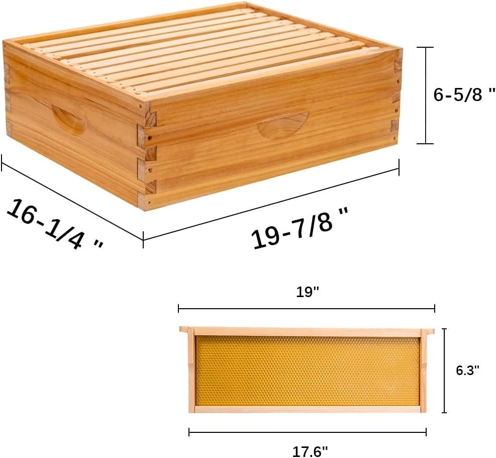 10 Frame Langstroth Medium Bee Hive Box Wax Coated Unassembled Frames Kit