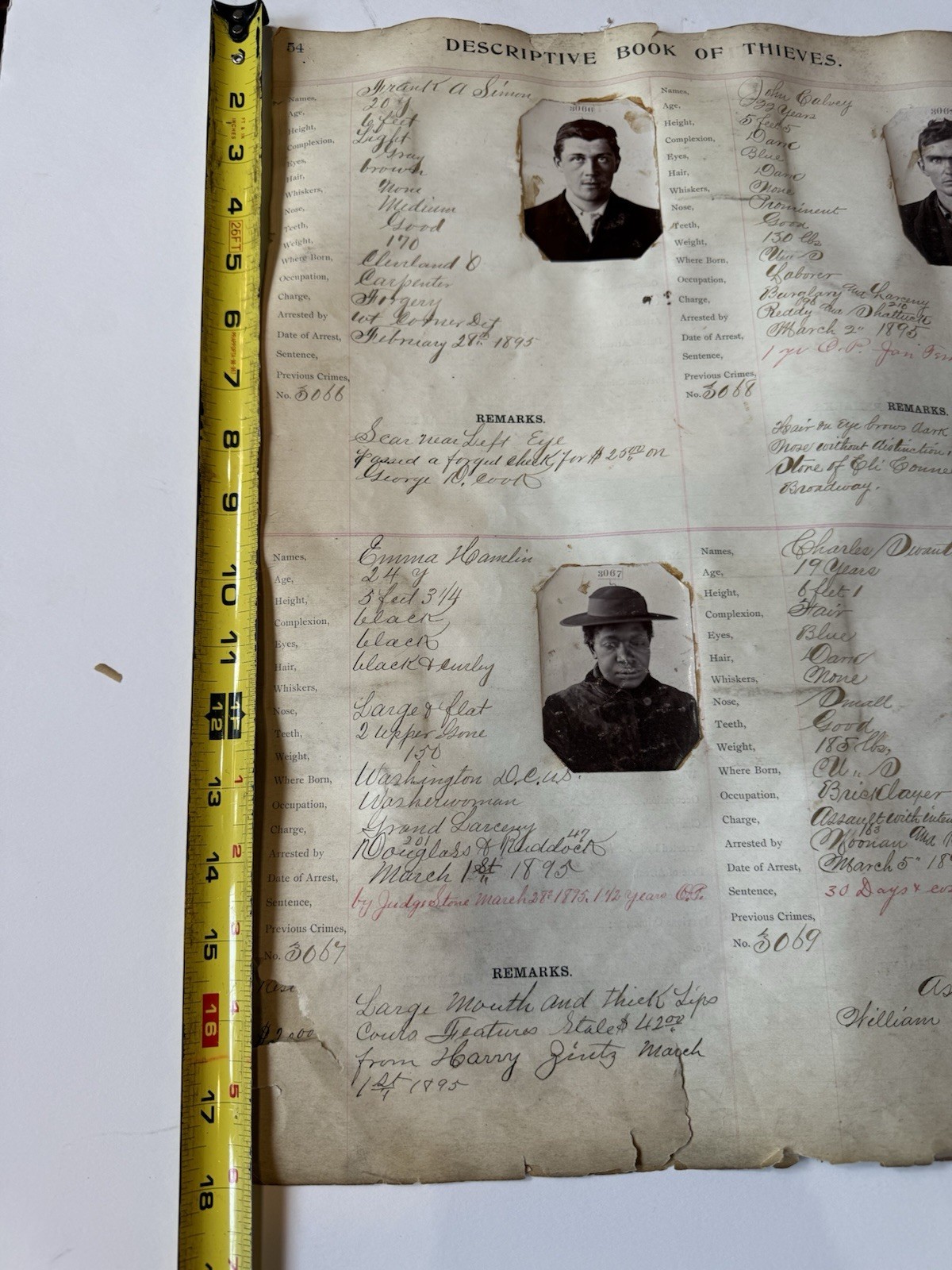 Original 1895 ARREST RECORDS POLICE PHOTO MUG SHOTS THIEVES 19th Century Prison