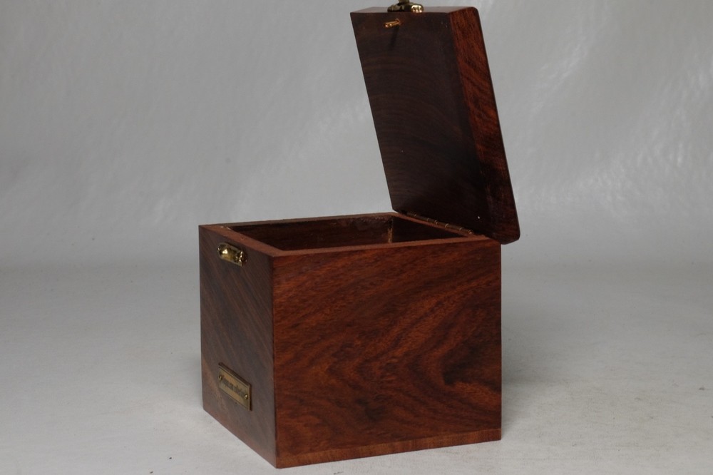 Niepce REPLICA Camera