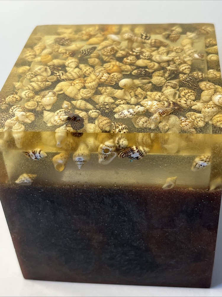 Artisanal Handmade resin container layered design with embedded natural shells