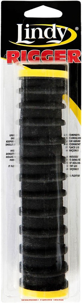 Lindy Rigger Leader Organizer