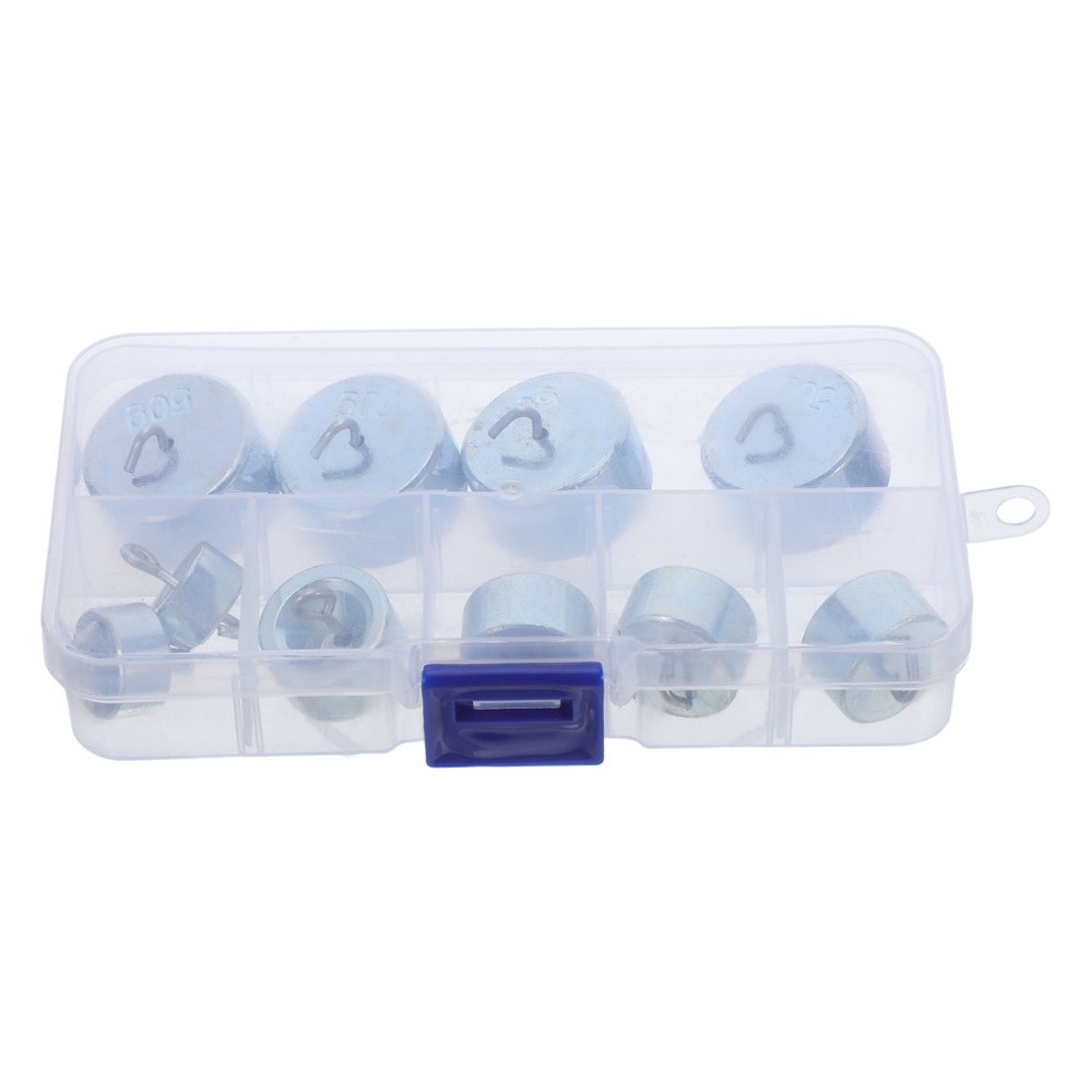 1 Set Hooked Calibration Weights: Total 300g Scale Calibration Weight- Physics