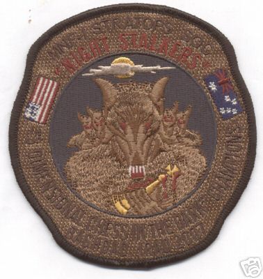 MULTI NATIONAL FORCE-STRATOPS SOC NIGHT STALKERS  patch