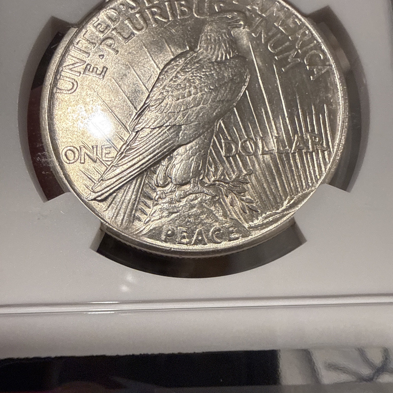 1921 PEACE DOLLAR HIGH RELIEF NGC MS 62 BRIGHT WHITE