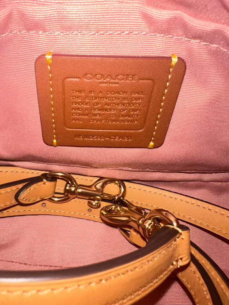 COACH CEA20 Teri Shoulder Bag Signature Canvas With Charms Gold/Powder Pink #JB