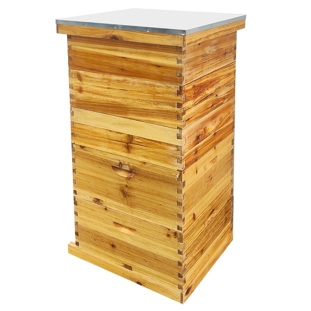 5-Layer Langstroth Bee Hive Beginner-Friendly Beehive Starter Kit