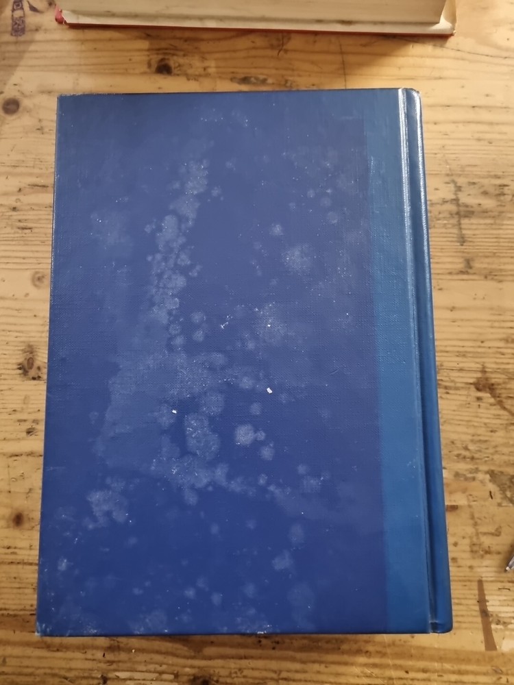 Collins English Dictionary