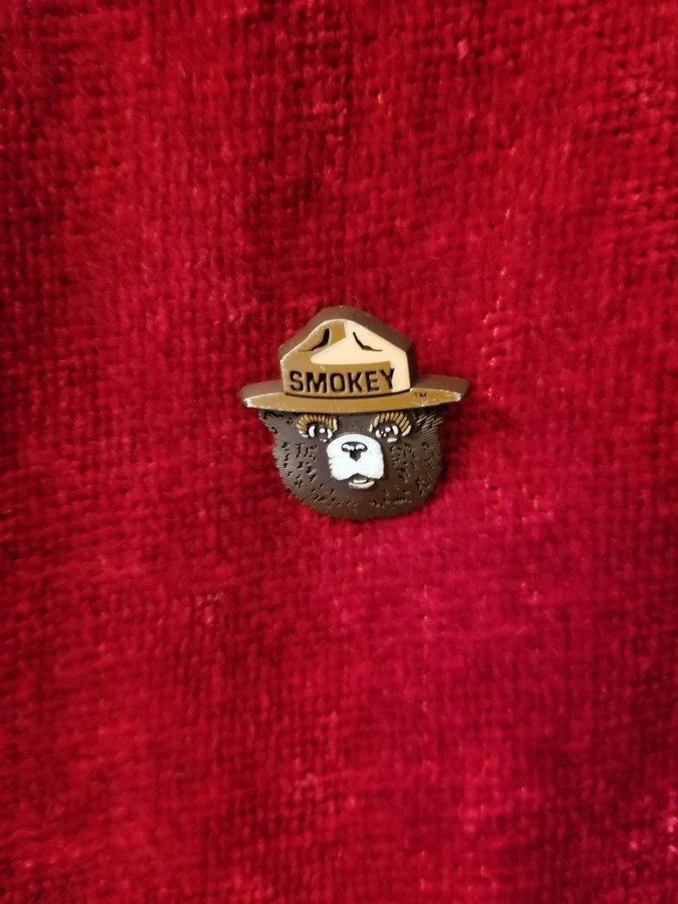 SMOKEY THE BEAR Plastic Lapel Pin