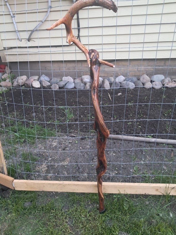 Diamond Willow Walking Stick With Deer Antler Handles