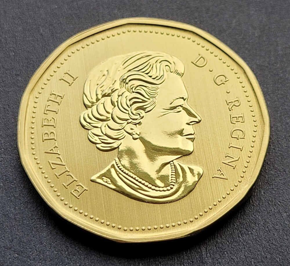 ***CANADA LOONIE 2018 *** SPECIMEN *** BURROWING OWL ***