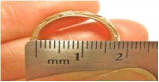 Australia Ring Dollar Australian Coin Ring Kangaroo Koala Bear