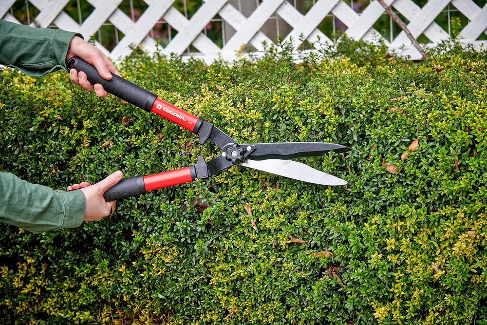 Tools Shrub, Branch & Stem 3 Piece Set